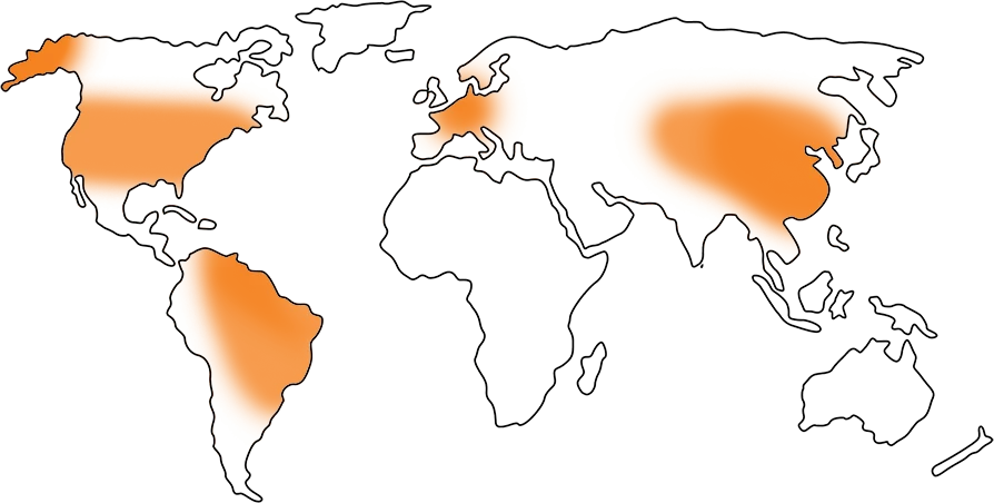 Global
